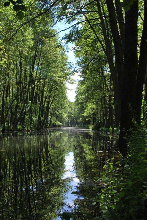 Nad Stawem Centrum Miasta Tomaszów Mazowiecki Zewnętrze zdjęcie